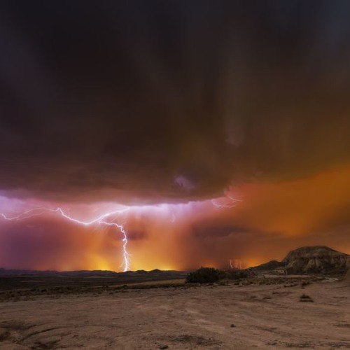 Like A Storm In Silence (Not For Sale)