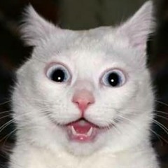 DJ家群 2015 (願望專屬)客製