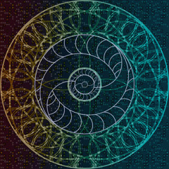 Codex