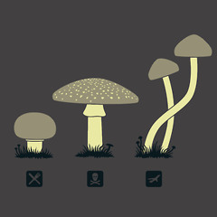 Mushroom Mix by L.S.DMT
