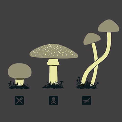 Mushroom Mix by L.S.DMT