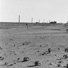 Dunst Bowl (Patchwork 2015-06-28)