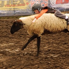 Hold On [Free/Libre music]