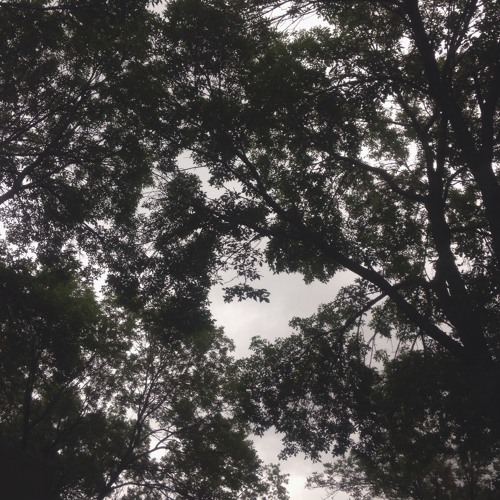 Paradise (Produced by Lewis Cullen)