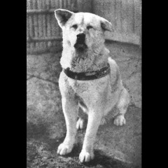 AdioneStayla- Hablando Con Mi Perro ( RECamara Prod- Z Beats)