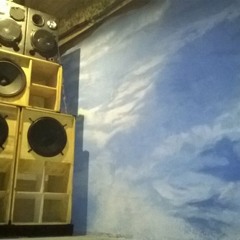 reggae van's