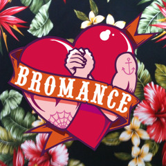 Tim Berg - Seek Bromance (Lugnet' Bootleg)