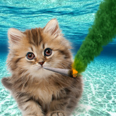 Ocean Catnip