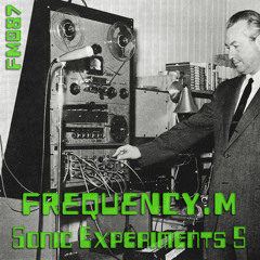 Sonic Experiments 5 (fm087)