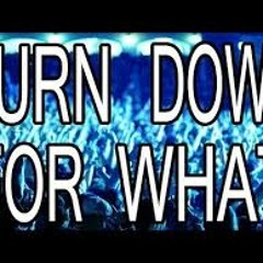 TURN DOWN FOR WHAT REMIX  ( DJ  JESUS RODRIGUEZ )
