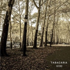 O Sol Nasce Tão Só