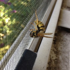 The Culmination of My Thoughts on Life