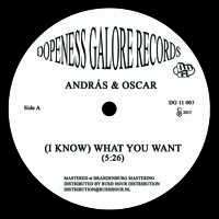 Andras & Oscar - (I know) What You Want
