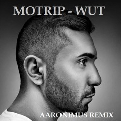 Motrip - Wut [Aaronimus Remix]