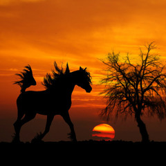 Karmina - All The Kings Horses (Ancient Architect Remix)