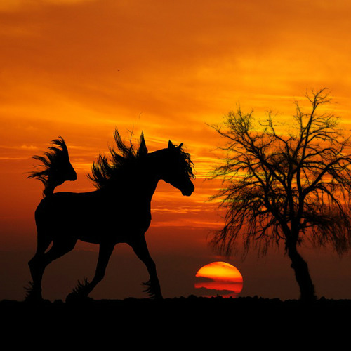 Karmina - All The Kings Horses (Ancient Architect Remix)