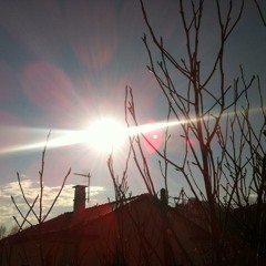 Love Mix © Manu Lechat