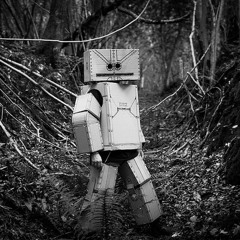 Machines That Learn in the Wild