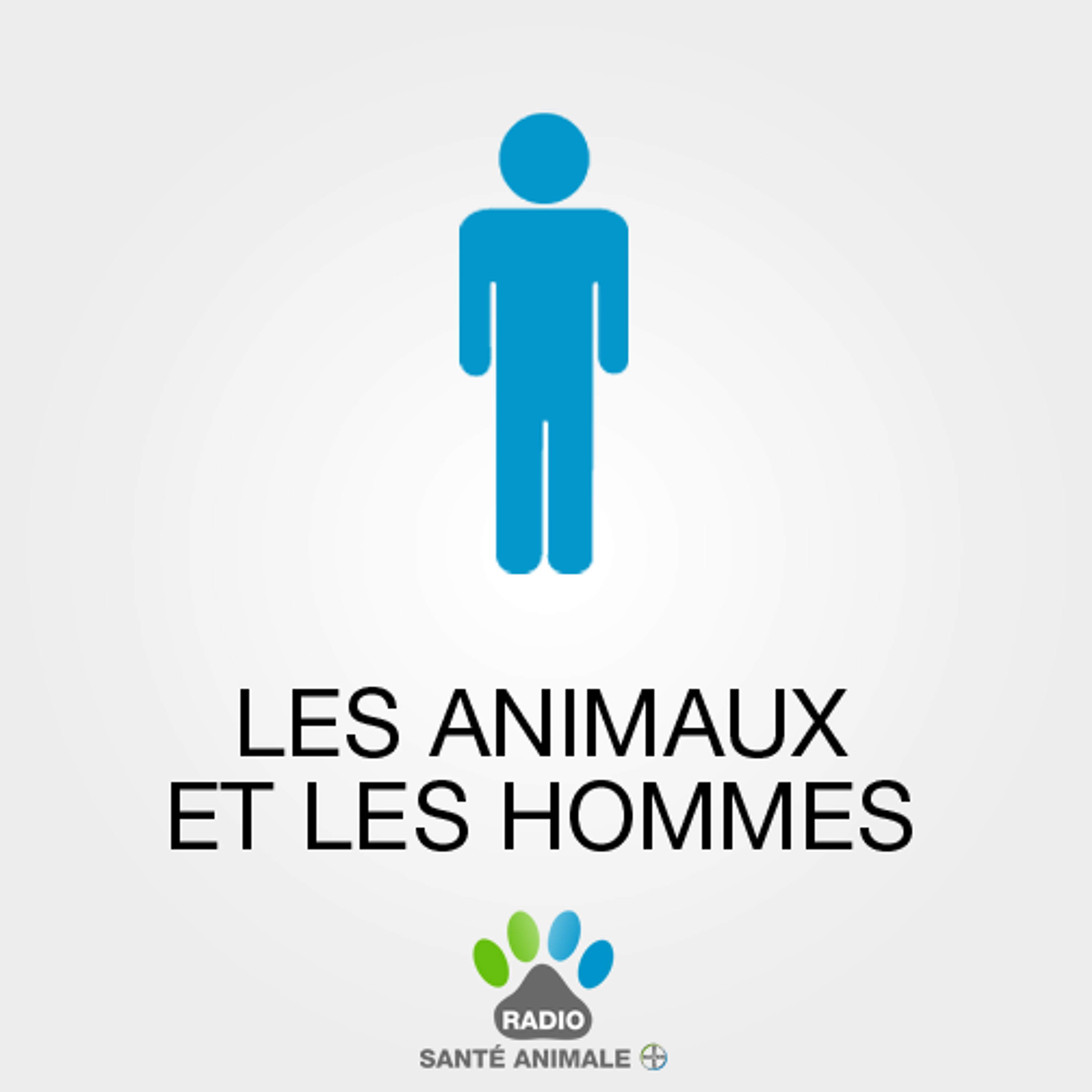 Les animaux et les hommes - Je veux donner mes châtons, que dit la loi ?