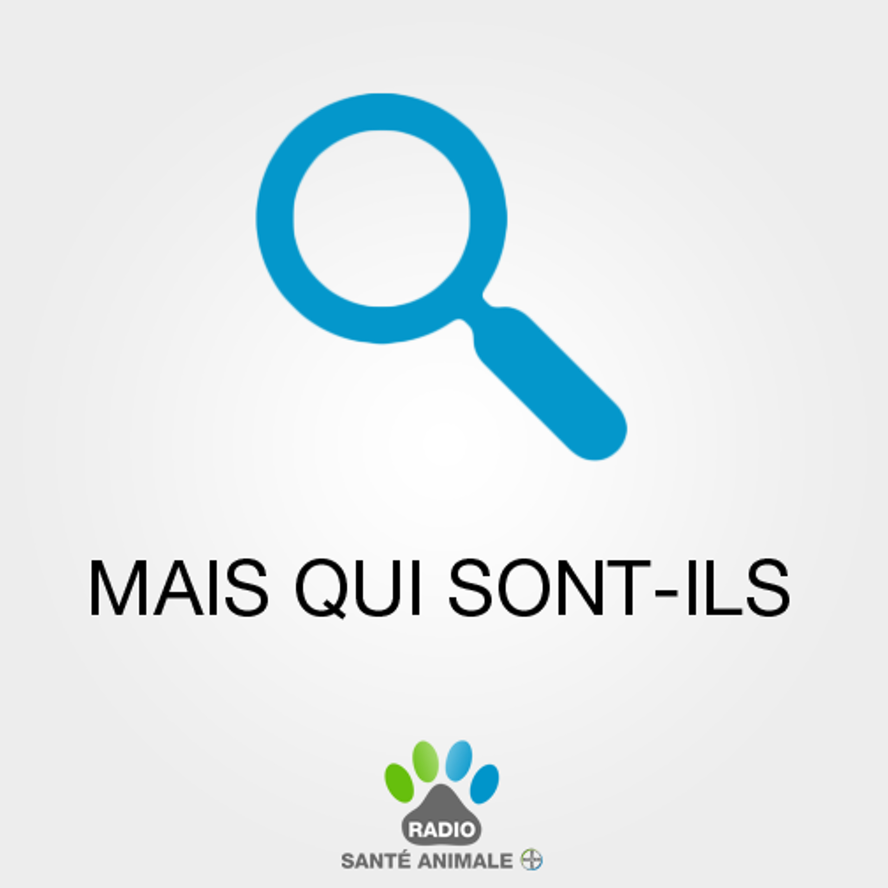 Chronique Bayer - Le chow chow, un chien de compagnie pas comme les autres