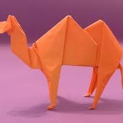 Gifted - Camels