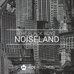 The Black Boyz - Noiseland (Original Mix)