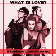 Deee Lite Ft. Jackinsky, S. O. & D. F. VS. E. P. - What Is Love? (Vougan WorkMash!) FREE DOWNLOAD
