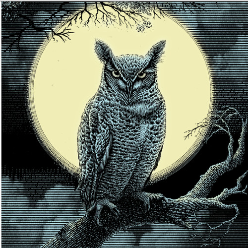 Owls, syncronicity And The Abductee