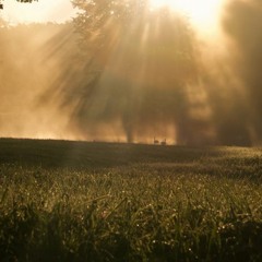 SoundParcel - Meadows of Eden [WIP]