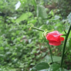 Sunday (prod. deadxbeat)