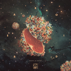 Bearoid - Northern Lights