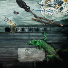 Cae Maia #1 Acreditei (single)