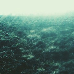 Strawberry Wine (my bloody valentine cover)