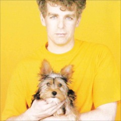 Pet Shop Boys - I want a dog ( DeNovia Club Remix )