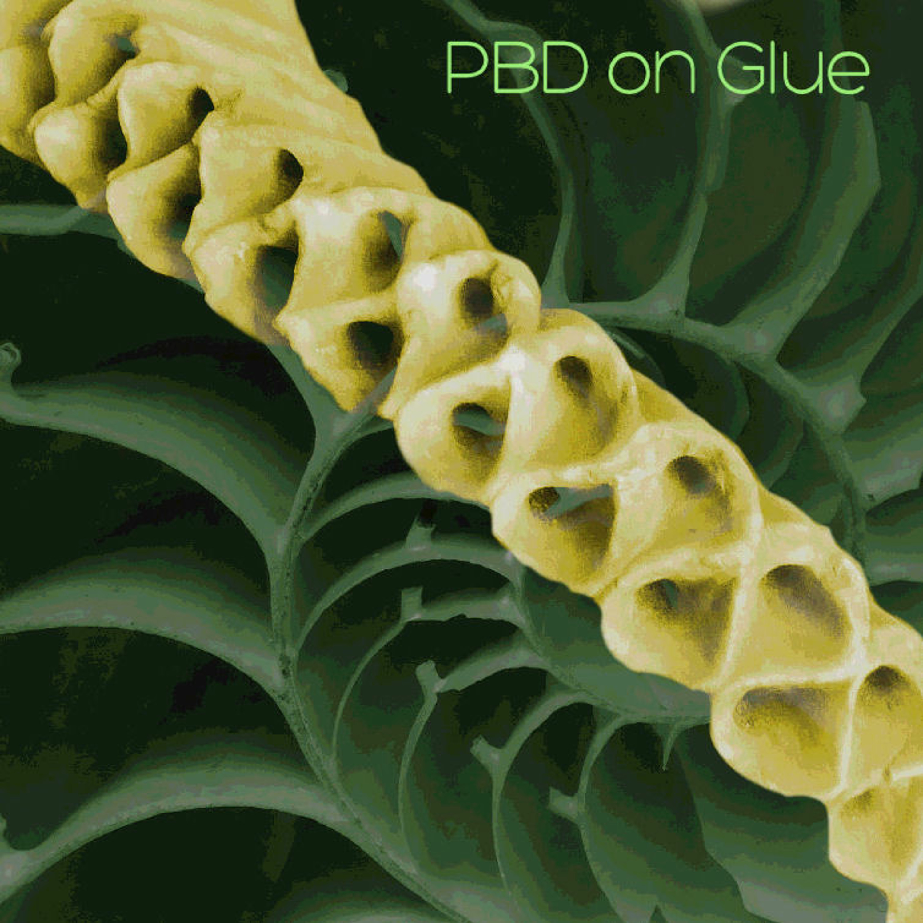 PBD on Glue episode artwork