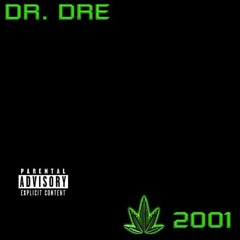 Dr. Dre - Bitch Niggaz Feat. Snoop Dogg, Hittman & Six-Two (Tom Fiord Chill Remix)