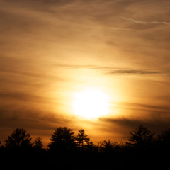 TheCovenant -  TMD Trance Party 2