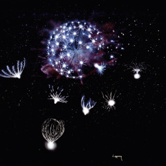 Ken Wilber On Magic Vs Psychic