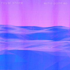 echo point two track ep