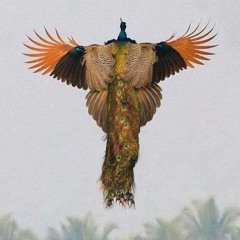 EDM Electro Mix Summer 2015