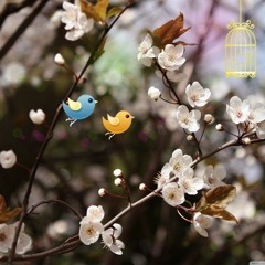 Elaalak-7ad ــ إلقالك حد .. أنـغـــــامـ