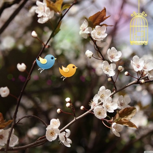 Elaalak-7ad ــ إلقالك حد .. أنـغـــــامـ