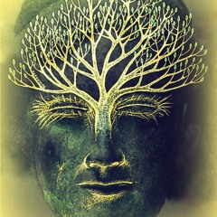 Ultimate tripping to Consciousness/27.6 Dragonflyradio.net Live DJ SET