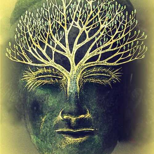 Ultimate tripping to Consciousness/27.6 Dragonflyradio.net Live DJ SET