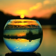 warm reflections