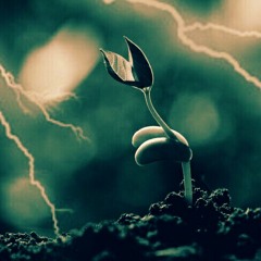 Pure Simple Fun (Lightning Seeds Bootleg RMX) FREE DOWNLOAD