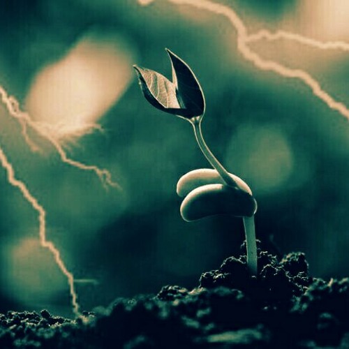 Pure Simple Fun (Lightning Seeds Bootleg RMX) FREE DOWNLOAD