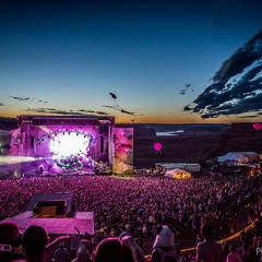 Paradiso Hangover