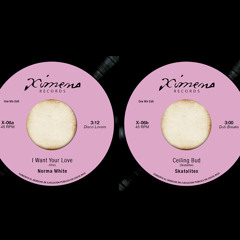 X-06 I Want Your Love/Ceiling Bud