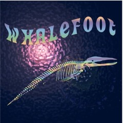 Anomalocaris (Work in prog)